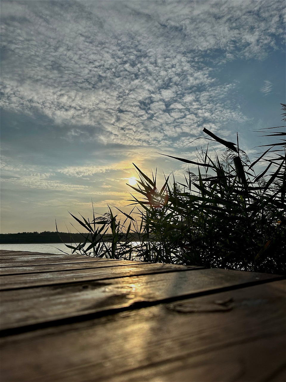 Read more about the article Przykładowy post 1