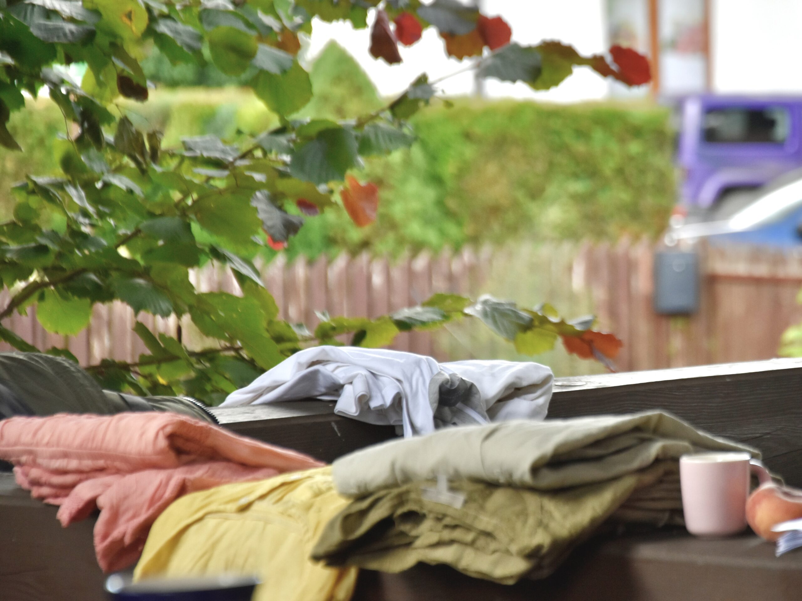 Read more about the article Promykiem słońca i kroplą rosy…